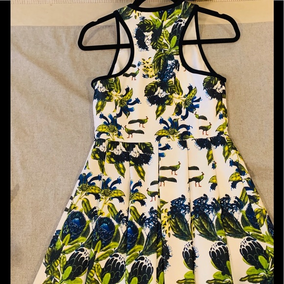 Marolli for Anthropologie Flair Pleated Dress - Picture 5 of 7